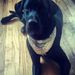 Profile Picture of Matthew Wetzel (@wetzel69) on Pinterest
