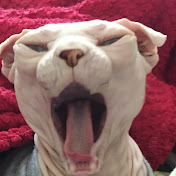 Profile Picture of Brian Farrar (@brianfarrar5918) on Youtube