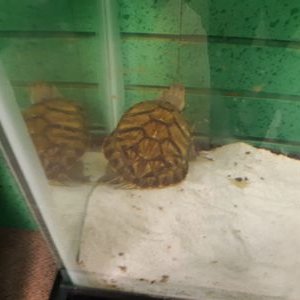 Profile Picture of Tyler Moeller (@TylerMoeller12) on Twitter