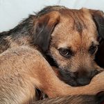 Profile Picture of Andrew Neale Robinson (@standrewnealerobinson) on Instagram