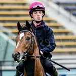 Profile Picture of David Hannigan (@hannigan.d) on Instagram