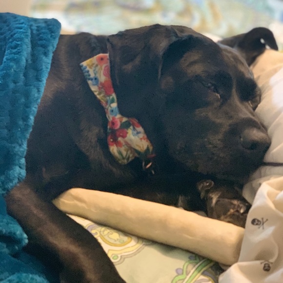 Profile Picture of Sydney Comitz (@sydcom_0) on Poshmark