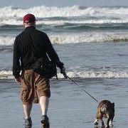 Profile Picture of Mike Dickson (@mdickson81) on Pinterest