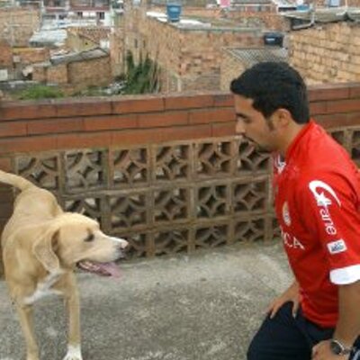 Profile Picture of Joel Pulido (@ingjoelpulido) on Twitter