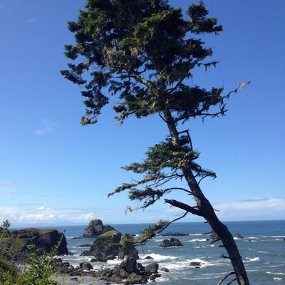 Profile Picture of Yvonne Puentes (@YPuentes1) on Twitter