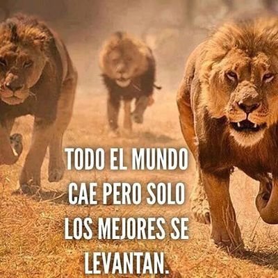 Eduardo Haynes - Twitter Profile Picture of Eduardo Haynes (@f554a2c8bc854df) on Twitter