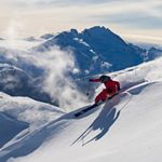Profile Picture of Ryan Nufer (@nufedog) on Instagram