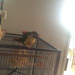 Profile Picture of rebecca_hansen_ (@rebecca_hansen_) on Instagram