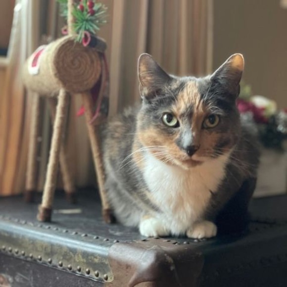 Profile Picture of Tara Feighery (@lewey20) on Poshmark