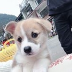 Profile Picture of 島拎 (@dauling1207) on Instagram