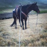 Profile Picture of Dustin Denton (@ddenton913) on Instagram