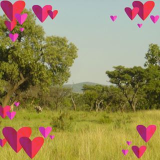 Profile Picture of Pradyuman Patel (@pradyuman.patel.520) on Facebook