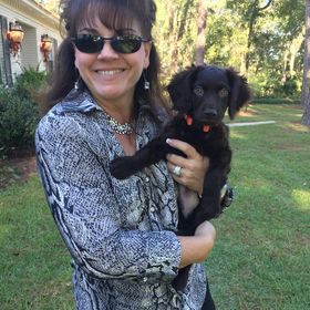 Profile Picture of Lynn Cochran (@SouthernBackroadTreasures) on Pinterest