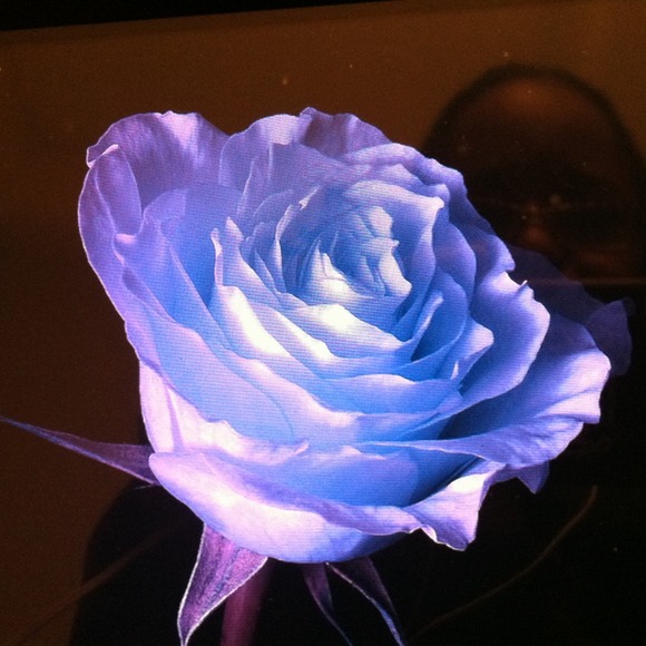 Kenya Delcastillo - Poshmark Profile Picture of Kenya Delcastillo (@kdelcast) on Poshmark