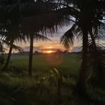 Profile Picture of Fahmi Joel Anfield (@harumbungong) on Facebook