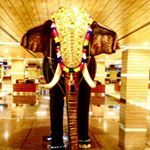 Profile Picture of Joshi Paul (@joshipauladukuzhi2018) on Instagram