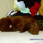 Profile Picture of Jacob Clemens (@jacob1431ilo) on Instagram