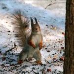 Profile Picture of Levinson (@levinsonmaxfi) on Instagram