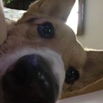 Profile Picture of StevieBarnes (@steviebarnes5950) on Instagram