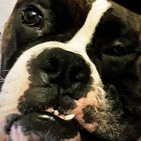 Profile Picture of Kaelyn Wegrzyn (@kaelynw00) on Poshmark