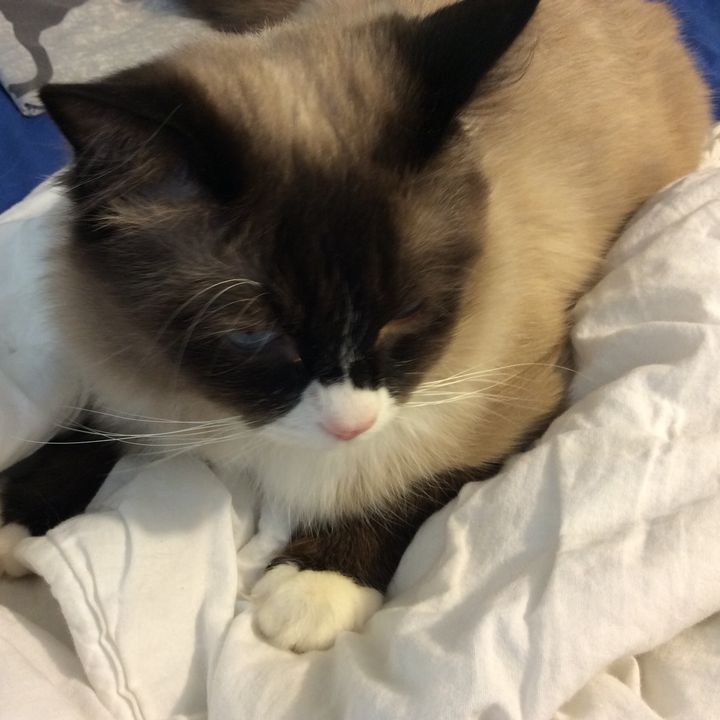 Profile Picture of Guy Gillett (@jellyfruits22243332997) on Tiktok