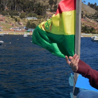 Profile Picture of Wilmaaviles (@wilmaaviles1) on Twitter