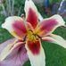 Profile Picture of Michaele Cisewski (@michaele.cisewski.9) on Facebook