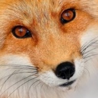Profile Picture of Amelia Sims (@amelia-sims-2) on Quora