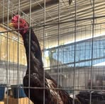 Profile Picture of Bermea Armando (@Bermea-Armando) on Facebook