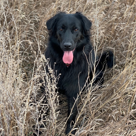 Profile Picture of Chrystina Popson (@kunocantsnipe) on Poshmark