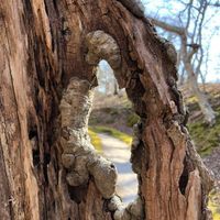 Profile Picture of Tara Mcginn (@tara-mcginn-9) on Quora