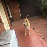 Profile Picture of Remy Bryan (@noodlesbotremy) on Instagram