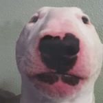 Profile Picture of Bum nigga shore06 (@bum_licker_john) on Instagram