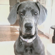 Profile Picture of Abbi Simonson (@abbisimonson1515) on Youtube