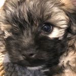 Profile Picture of Bobby swain💗 (@bobbycharlesswain) on Instagram