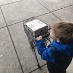 Profile Picture of Josh (@mrjoshualangstonpeters) on Instagram