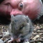 Profile Picture of Keith Houghton (@miserablekeith) on Instagram