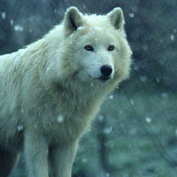 Profile Picture of MadelynBailey (@MadelynBaileyS1) on Twitter