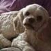Profile Picture of Scott Felton (@lewoz123) on Pinterest