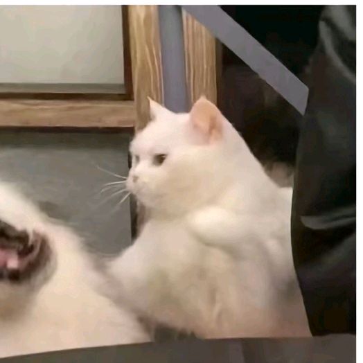 Profile Picture of Jiang Wan Qing💢💕 (@n_ovitashary) on Tiktok