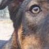 Profile Picture of Amy Fountain (@amy-fountain-12) on Quora