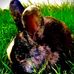 Profile Picture of James Platt (James Platt) (@james.platt.3990) on Facebook