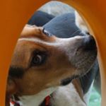 Tyler - Instagram Profile Picture of Tyler (@tyler_bonelli) on Instagram