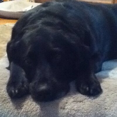 Profile Picture of Ben DeVore (@jedwarn) on Twitter
