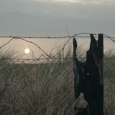 Profile Picture of Amanda M Bates (@amciaco2) on Twitter