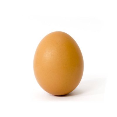 Profile Picture of Xun Zhang (@xunzhang15) on Twitter