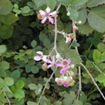 Profile Picture of abbas_yazdikhah (@abbas_yazdikhah) on Instagram