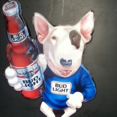 Profile Picture of Anthony Galli (@GalliSud) on Twitter