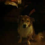 Profile Picture of Aaron Hilburn (@magic_coffey) on Instagram