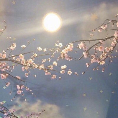 Profile Picture of AMBERDING (@AMBERDING5) on Twitter